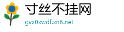 寸丝不挂网